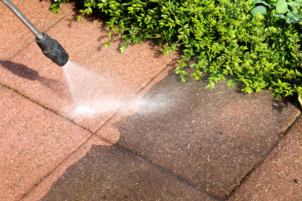 Best Deck Cleaning Services  in Wilkes Barre, PA